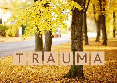 Schriftzug Trauma, im Hintergrund Bäume