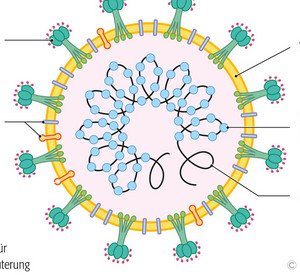 Beschreibung der Virusvariante Omikron