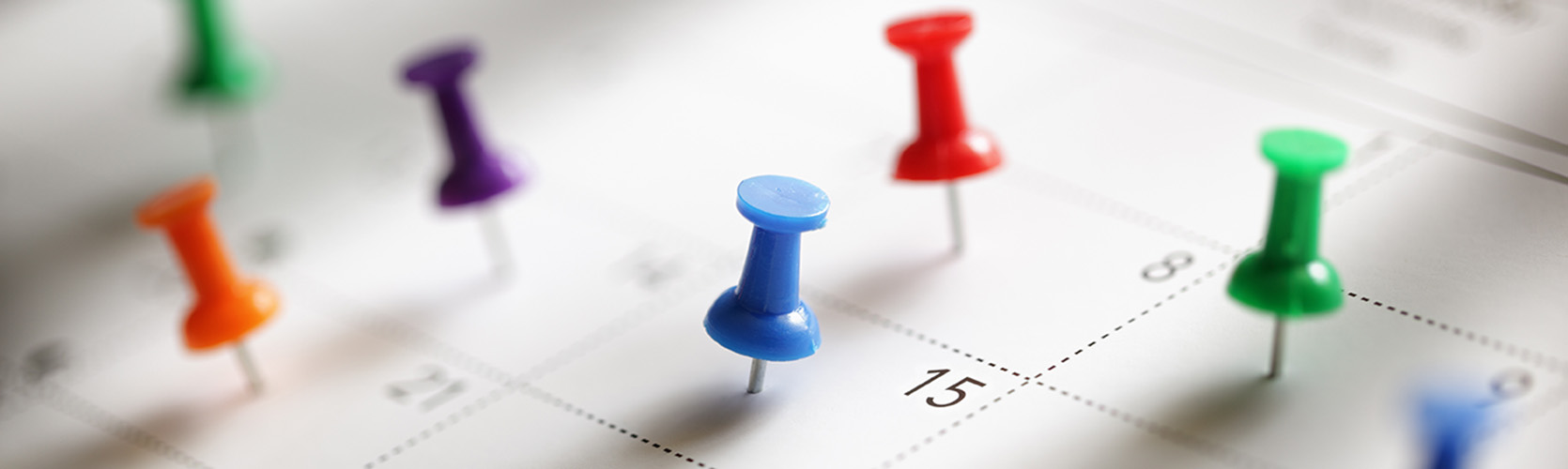 Terminkalender, Kalenderblatt mit vielen bunten Pins